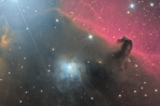 Horsehead